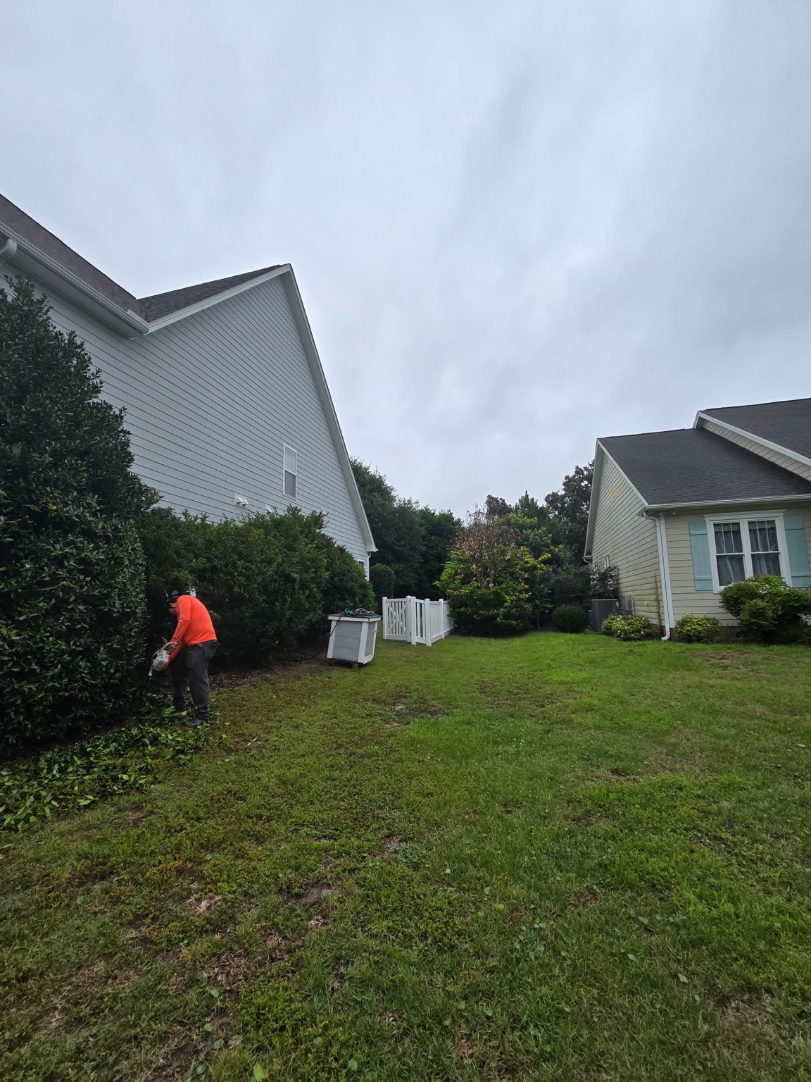 Ed's Tree Specialists worker trimming overgrown shrubs beside a Jacksonville home