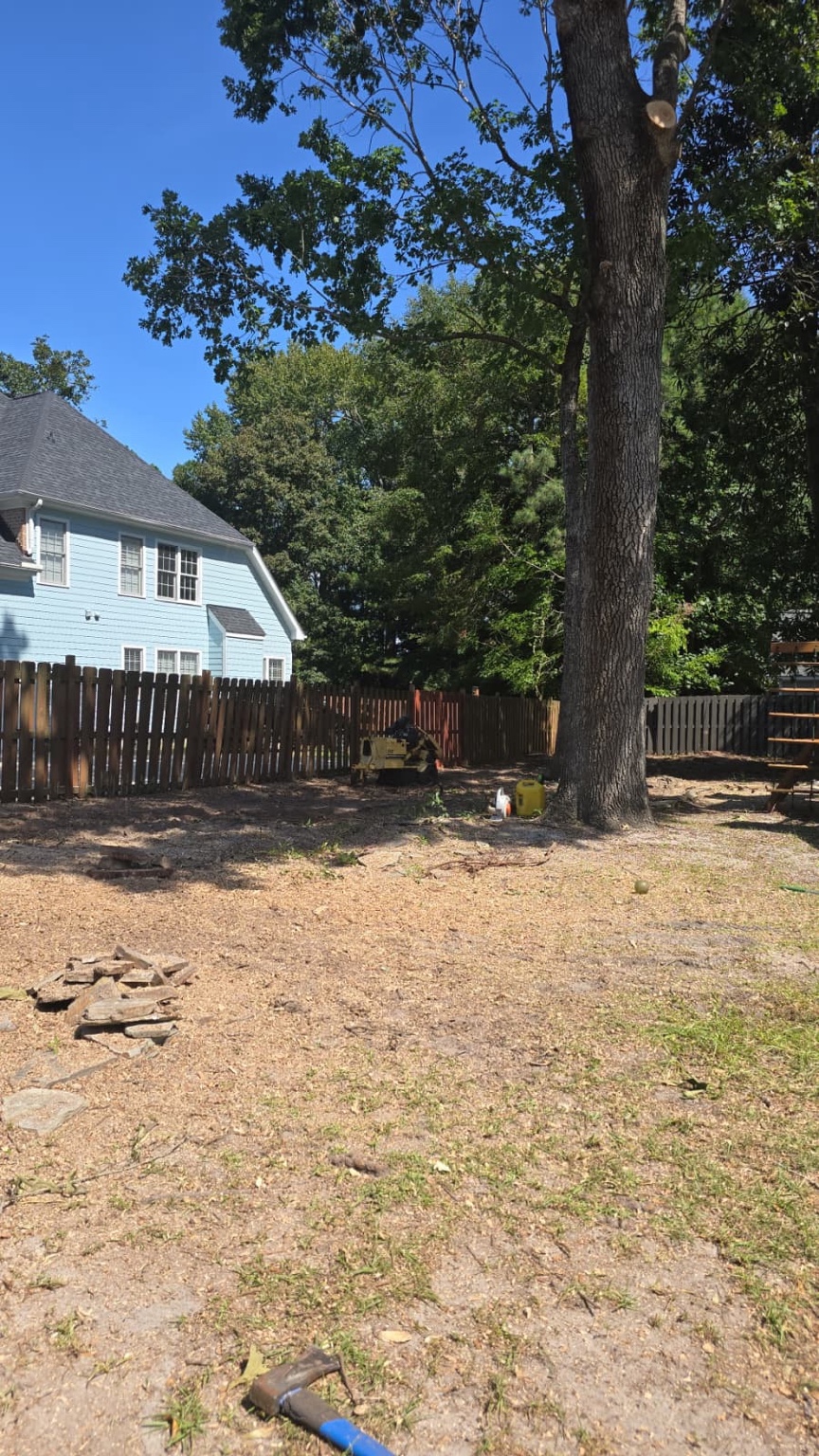 Large tree being dismantled in sections inside a fenced residential backyard