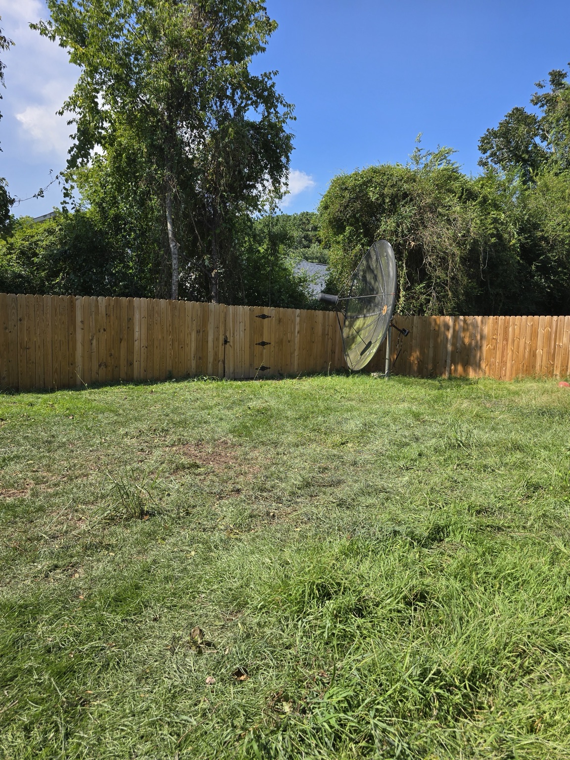 Same backyard after Ed's Tree Specialists cleared the canopy and vines off the fence line