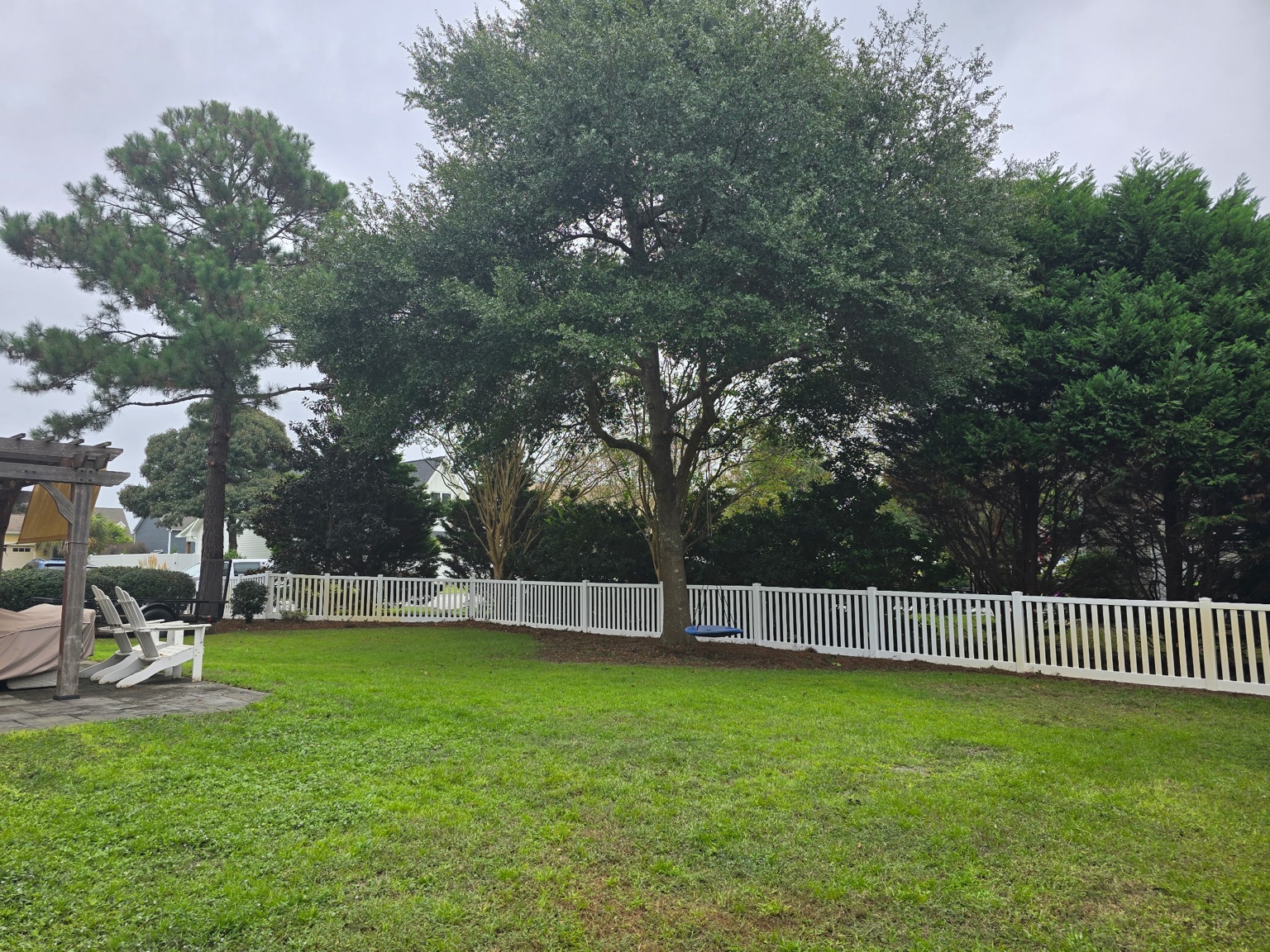 Mature shade tree pruned over a fenced Jacksonville backyard