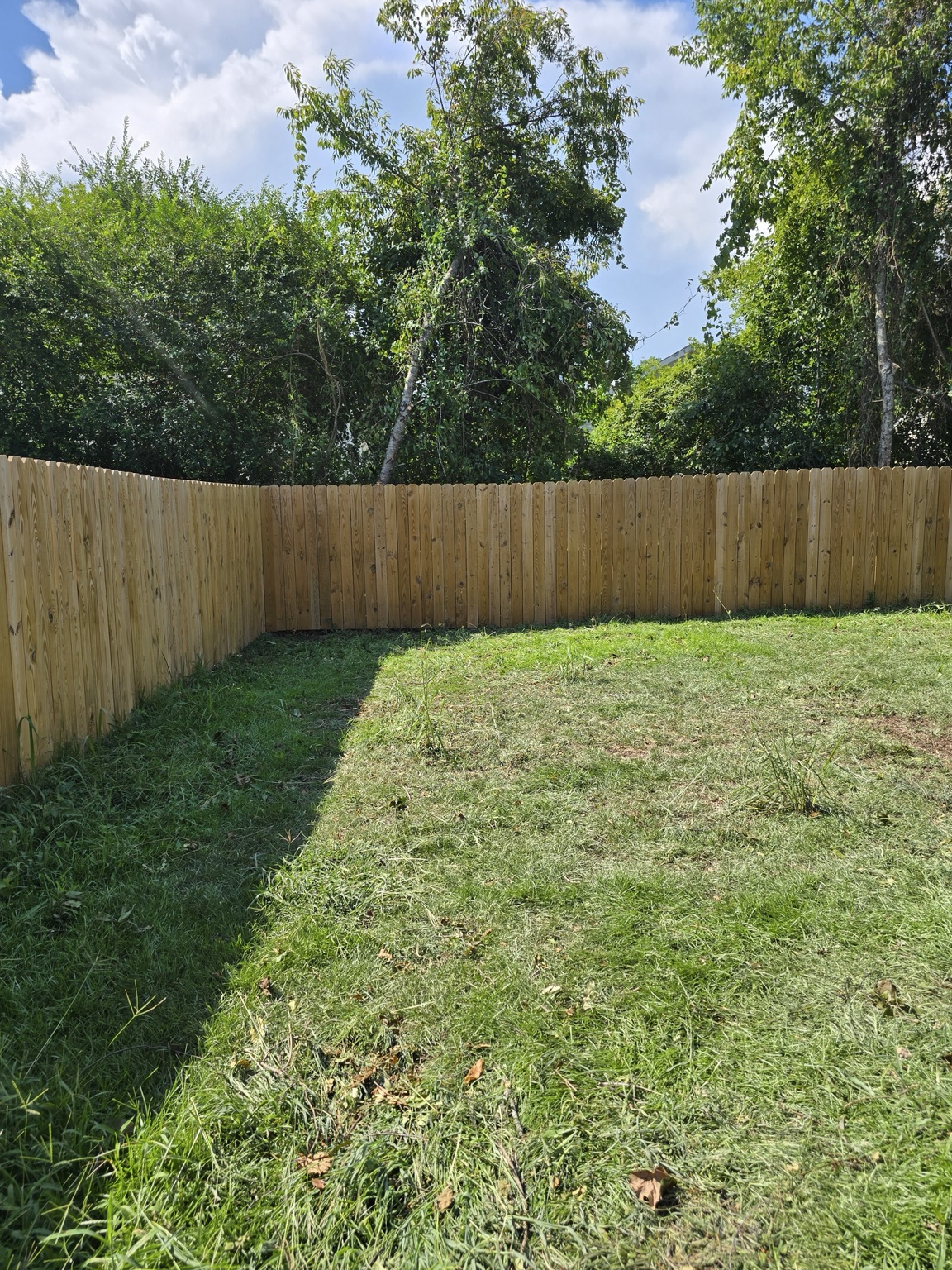 Clean fence line and open yard after tree trimming and full debris cleanup